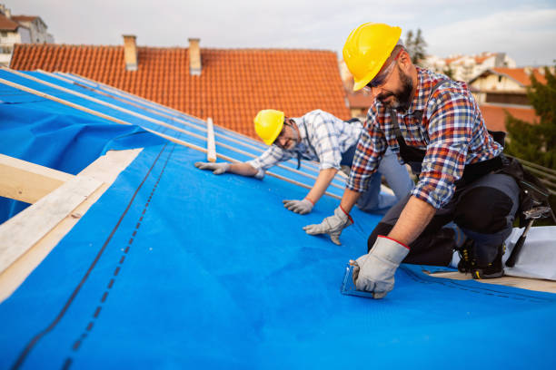 Best Metal Roofing Contractor  in Burke Centre, VA